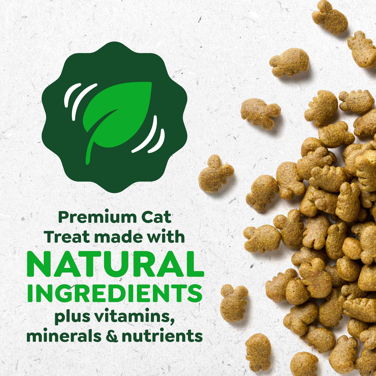 Catnip Flavor Dental Cat Treats 4.6 oz C124950