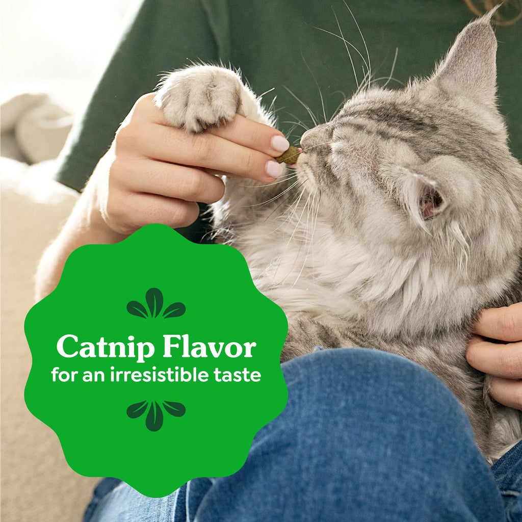 Catnip Flavor Dental Cat Treats 4.6 oz C124950