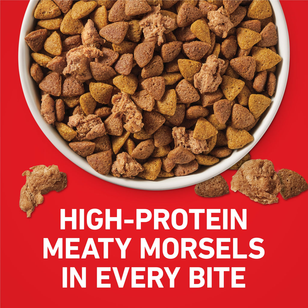 Lamb and Rice Formula Dry Dog Food J65462