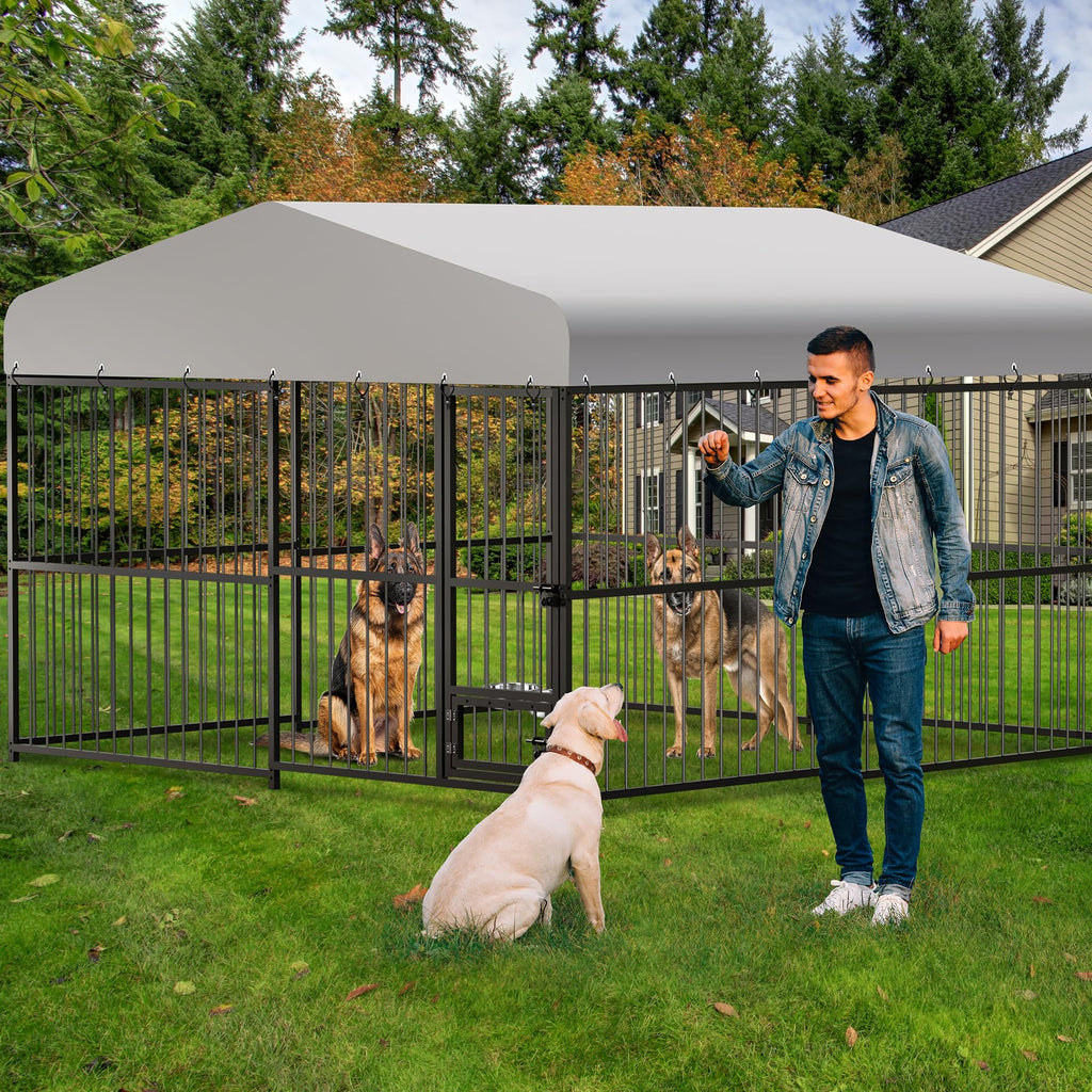 10X10x6 ft Heavy-Duty Metal Outdoor Dog Kennel with Lockable Door Z74721